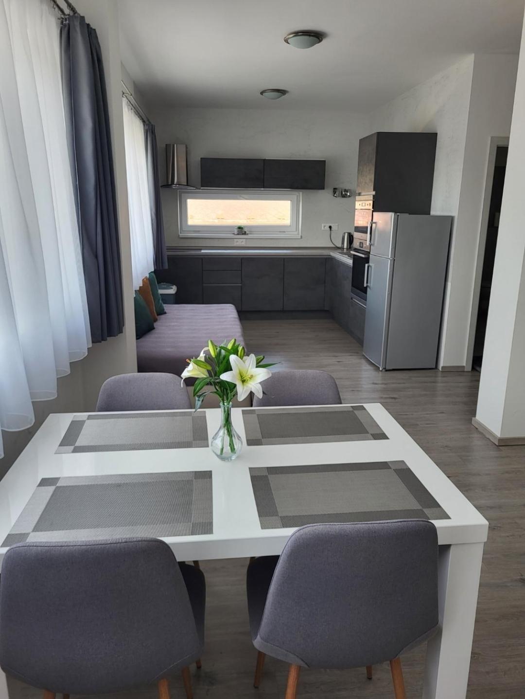 Apartman Gabriela Roudne エクステリア 写真