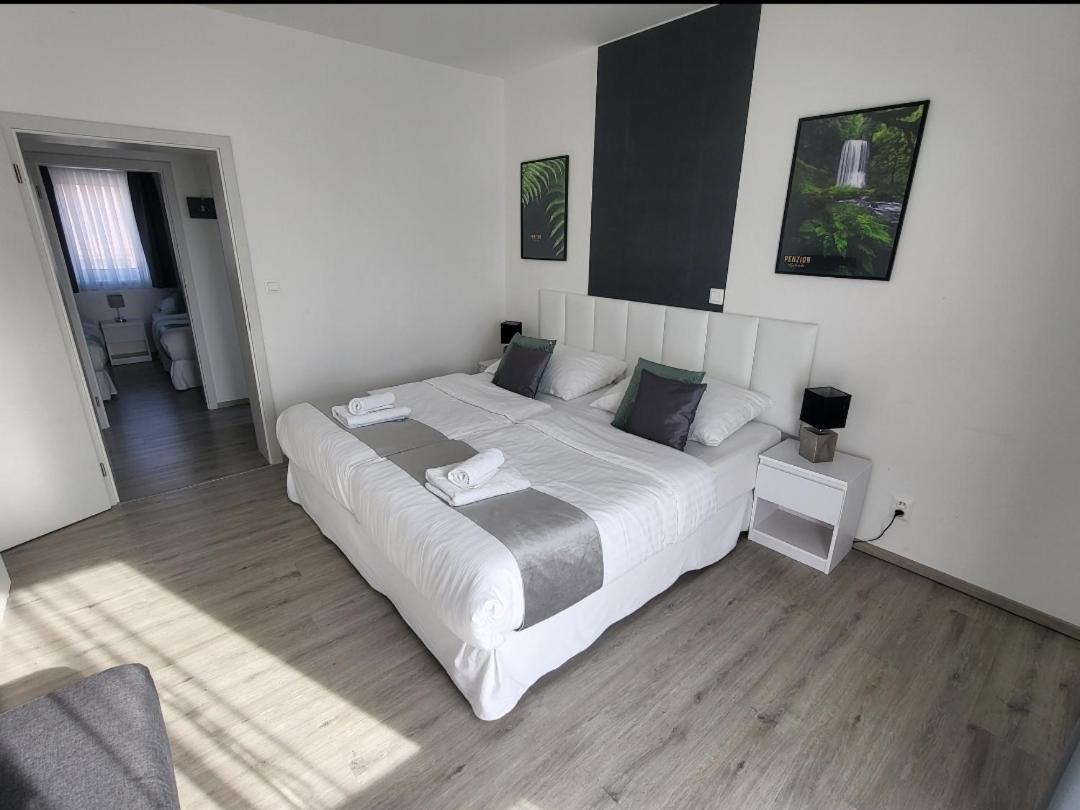 Apartman Gabriela Roudne エクステリア 写真